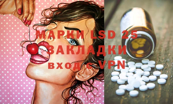 индика Семикаракорск
