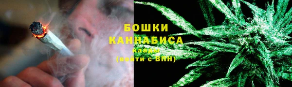 мдпв Семилуки