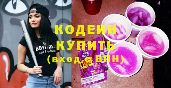 дживик Бронницы