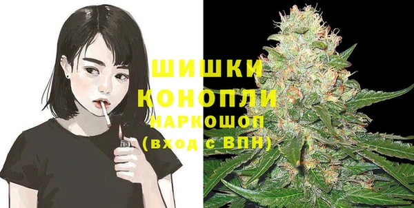 мдпв Семилуки