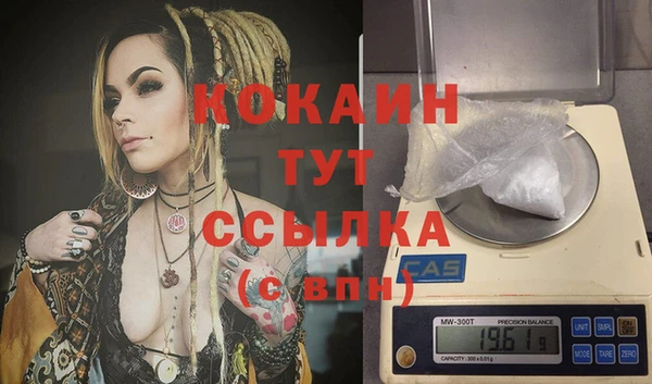 индика Семикаракорск